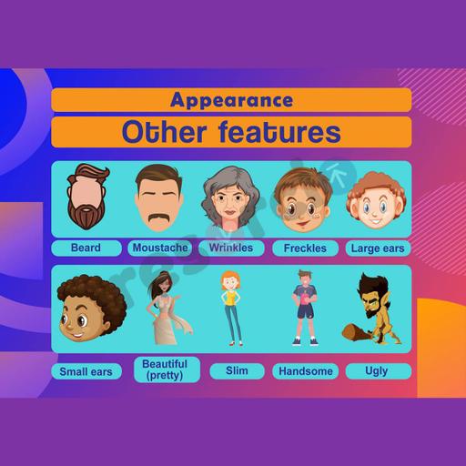 Picture of the product