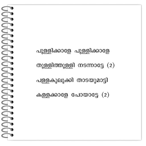 Picture of the product