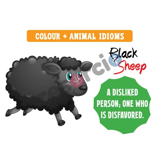 Picture of the product