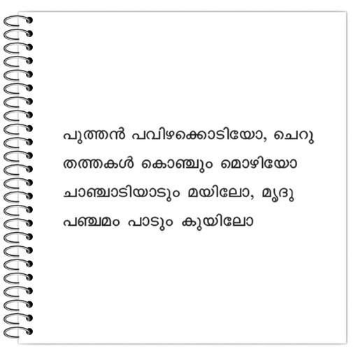 Picture of the product