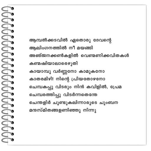 Picture of the product