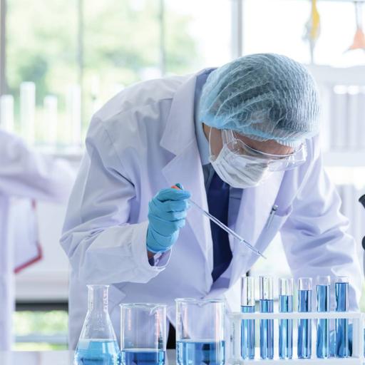 Picture of the product