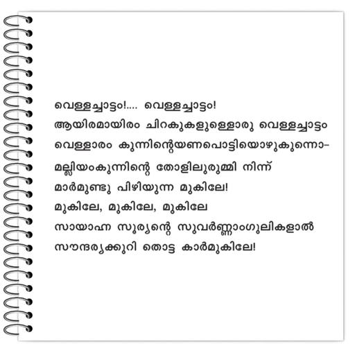 Picture of the product