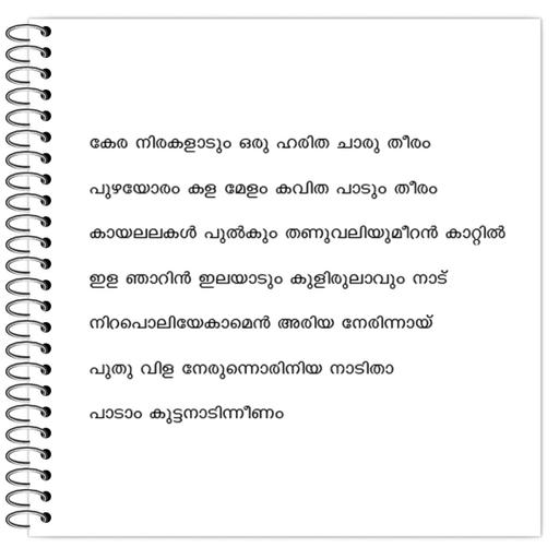 Picture of the product