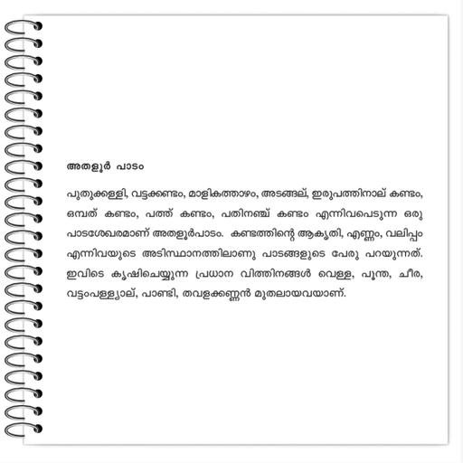 Picture of the product