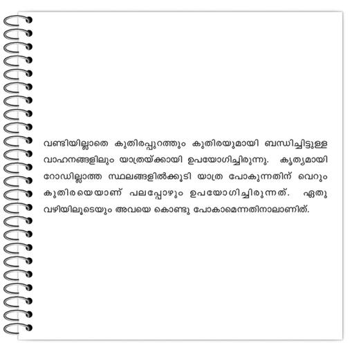 Picture of the product