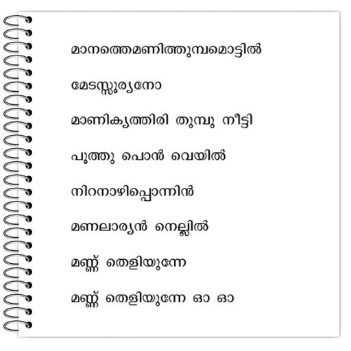 Picture of the product