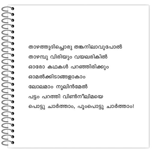 Picture of the product