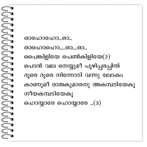 Picture of the product