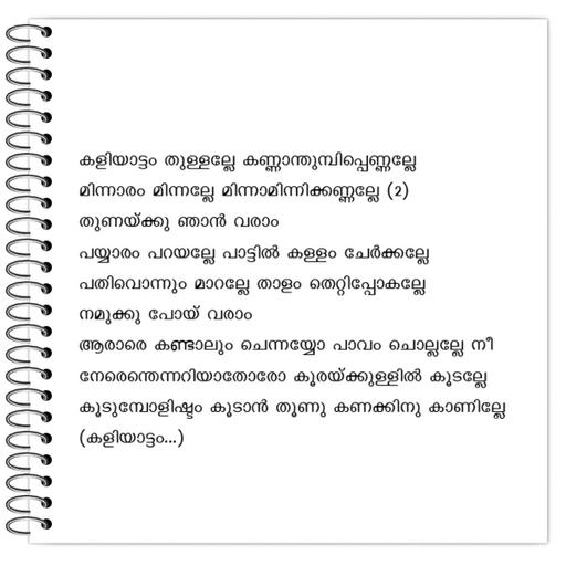 Picture of the product