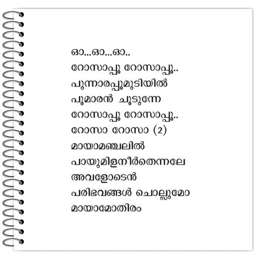 Picture of the product