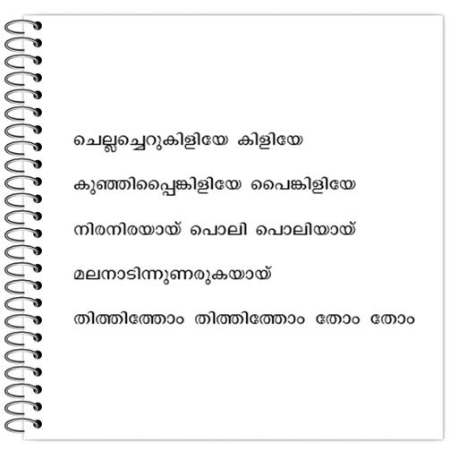 Picture of the product