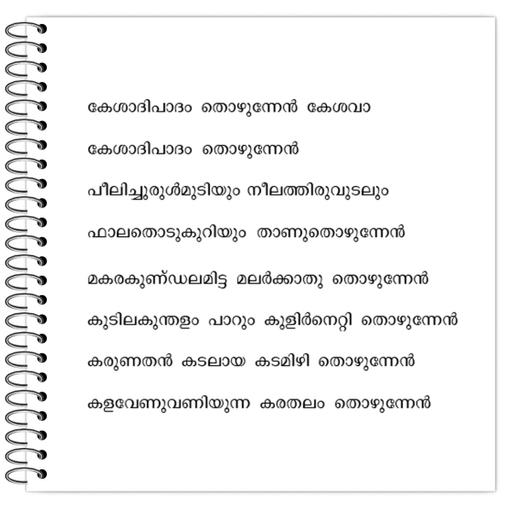 Picture of the product