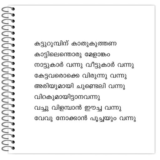 Picture of the product