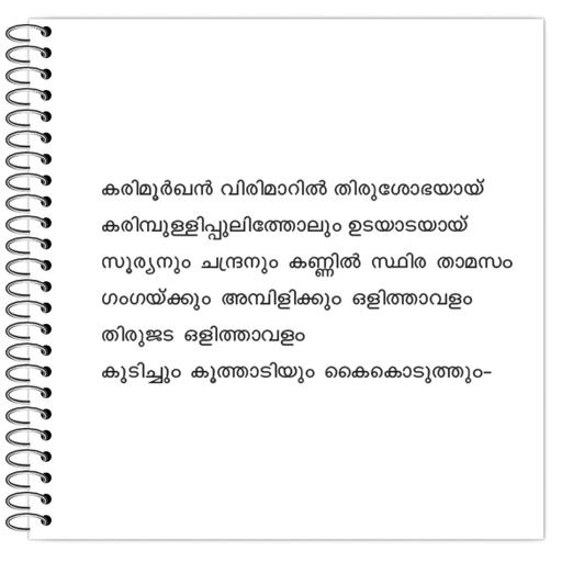 Picture of the product