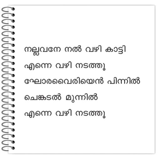 Picture of the product