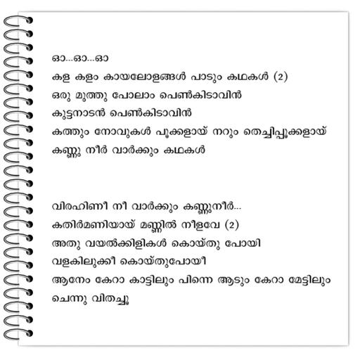 Picture of the product