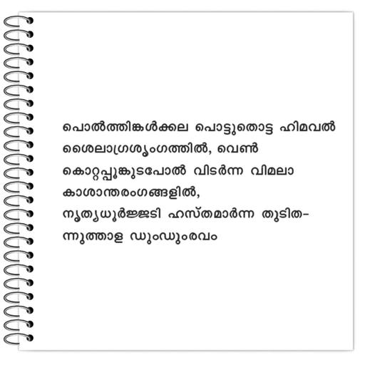 Picture of the product