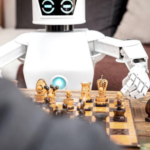 Picture of the product