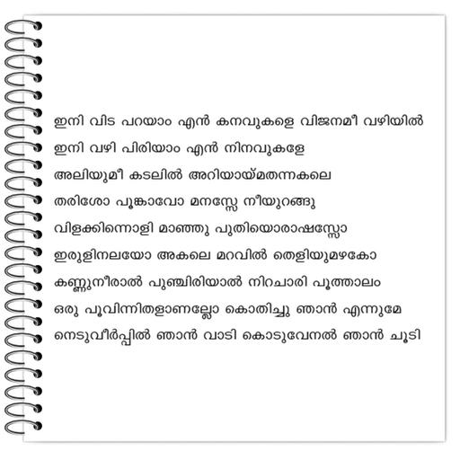 Picture of the product