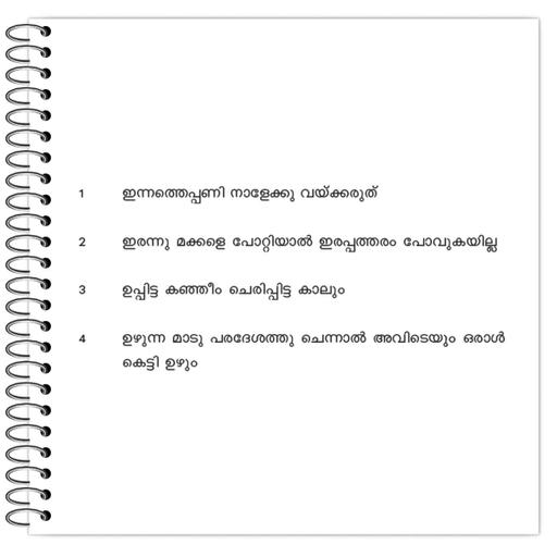 Picture of the product