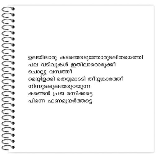 Picture of the product