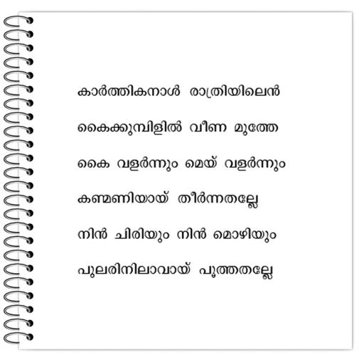 Picture of the product