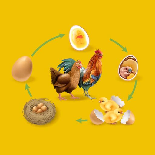 Picture of the product