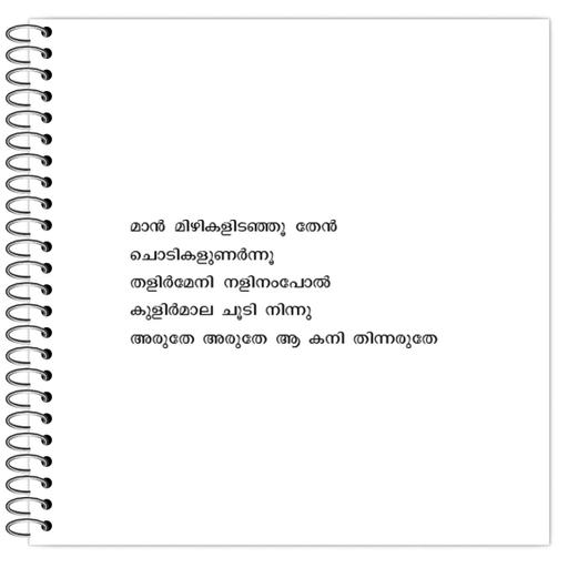 Picture of the product