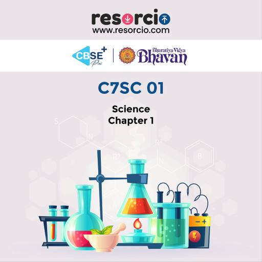 Picture of the product