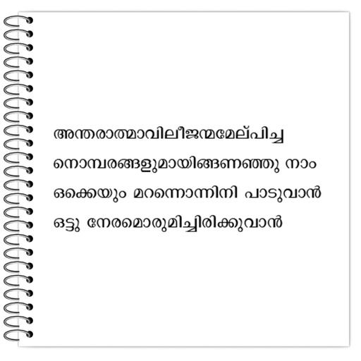 Picture of the product