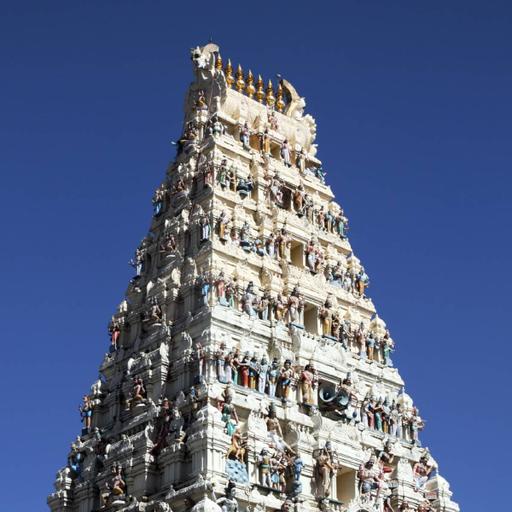 Picture of the product