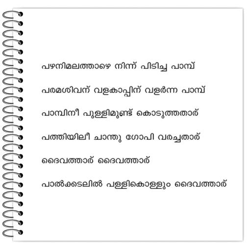 Picture of the product