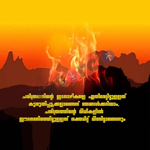 Picture of the product