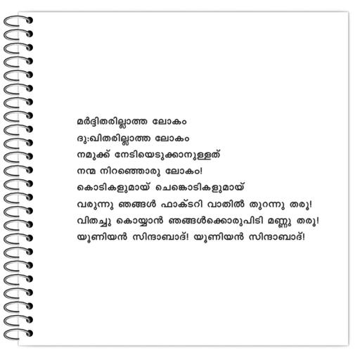 Picture of the product