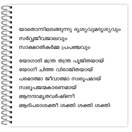 Picture of the product