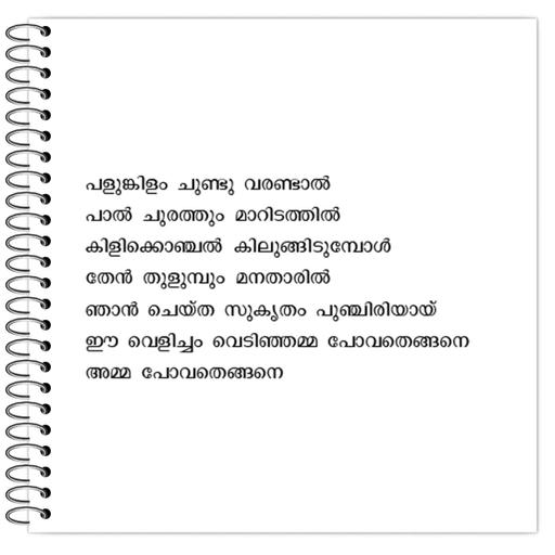 Picture of the product