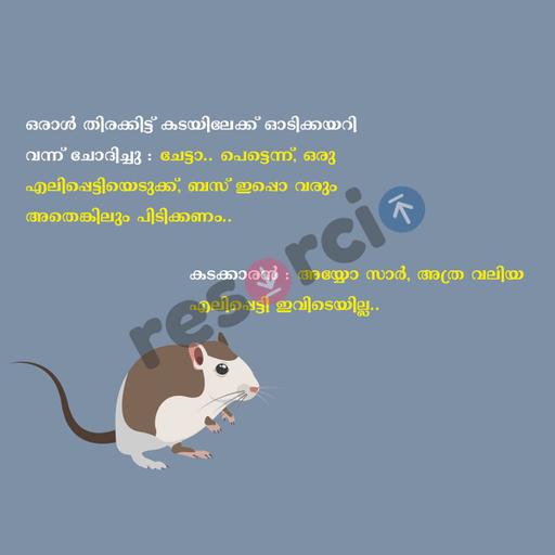 Picture of the product