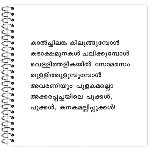 Picture of the product