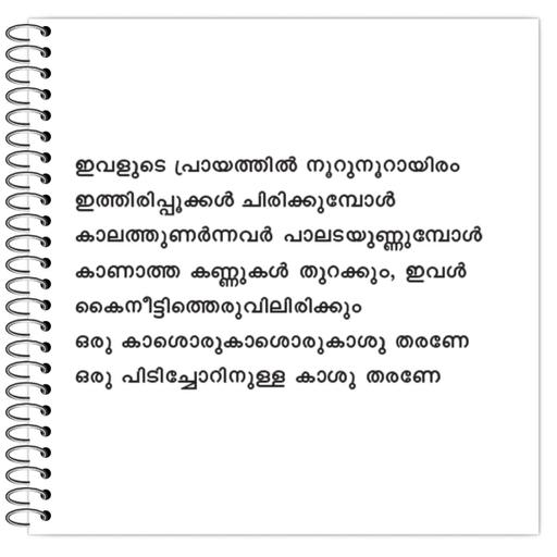 Picture of the product