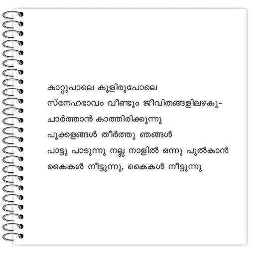 Picture of the product