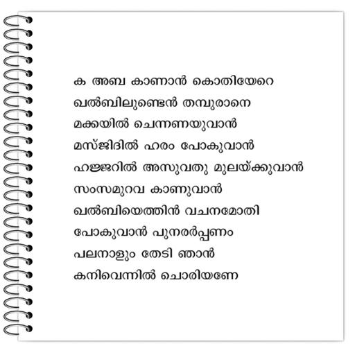 Picture of the product