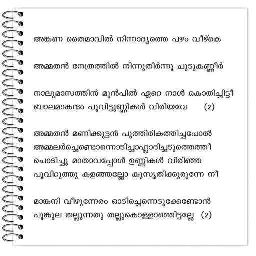 Picture of the product