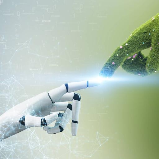 Picture of the product