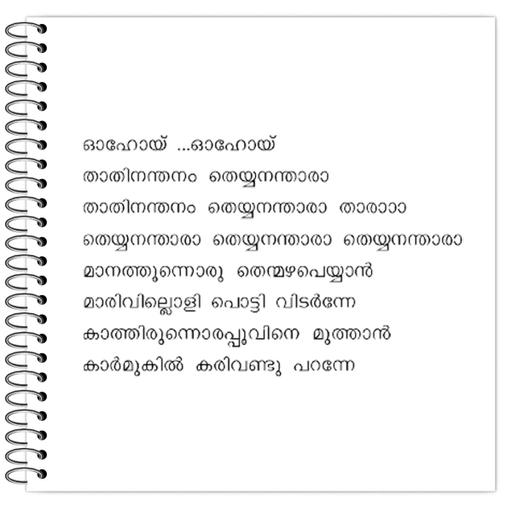 Picture of the product