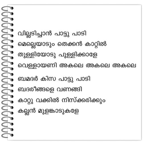 Picture of the product