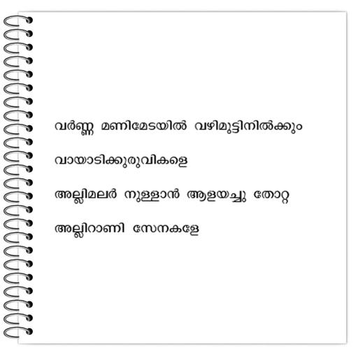 Picture of the product