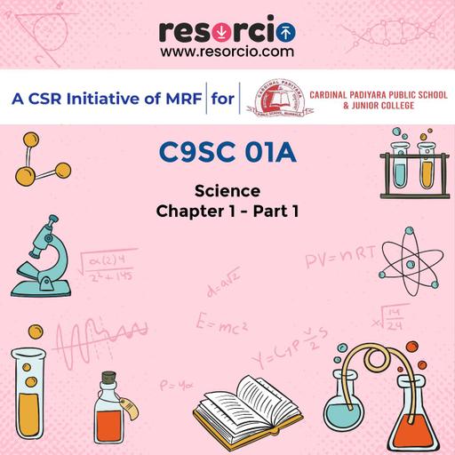 Picture of the product