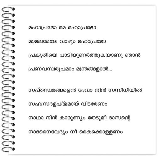 Picture of the product