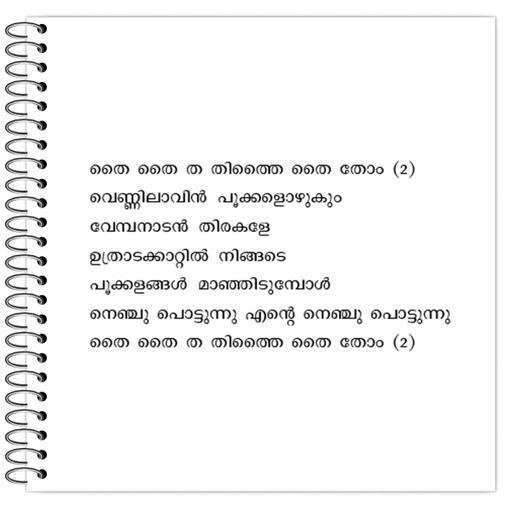 Picture of the product